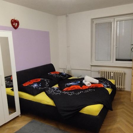 Apartman Mirabella 布尔诺 外观 照片